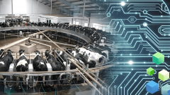 成从手艺到价值的闭环